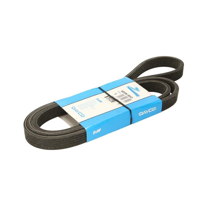 DAYCO DAY6PKK1853 V-Ribbed Belt