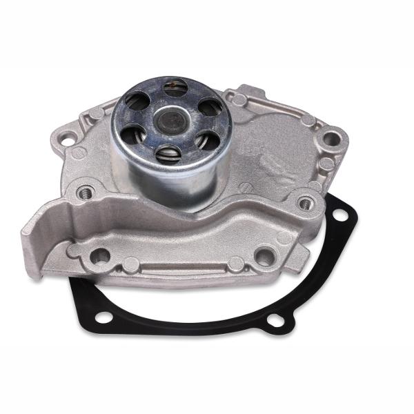 HEPU P955S Water Pump