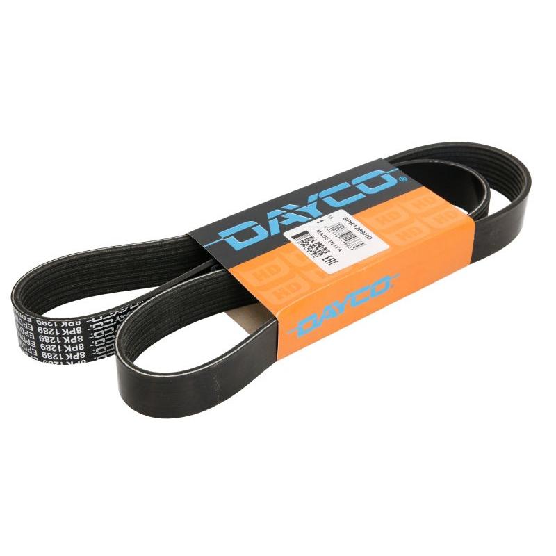 DAYCO DAY8PK1289HD V-Ribbed Belt