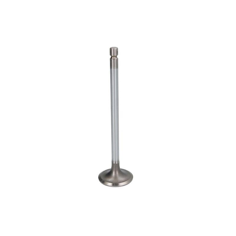 OE GERMANY 090520ISB600 Intake Valve