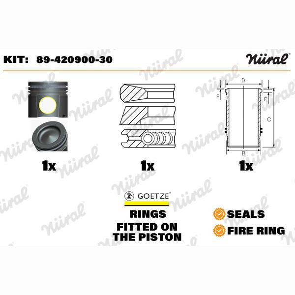 NURAL 89-420900-30 Piston/Cylinder Liner Repair Kit