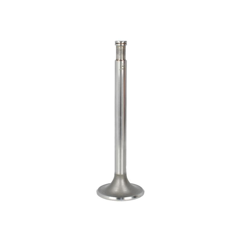 PARADOWSCY PFEN011 Intake Valve