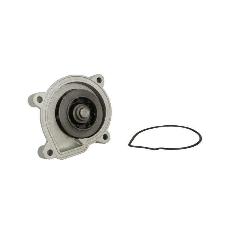THERMOTEC D1W056TT Water Pump