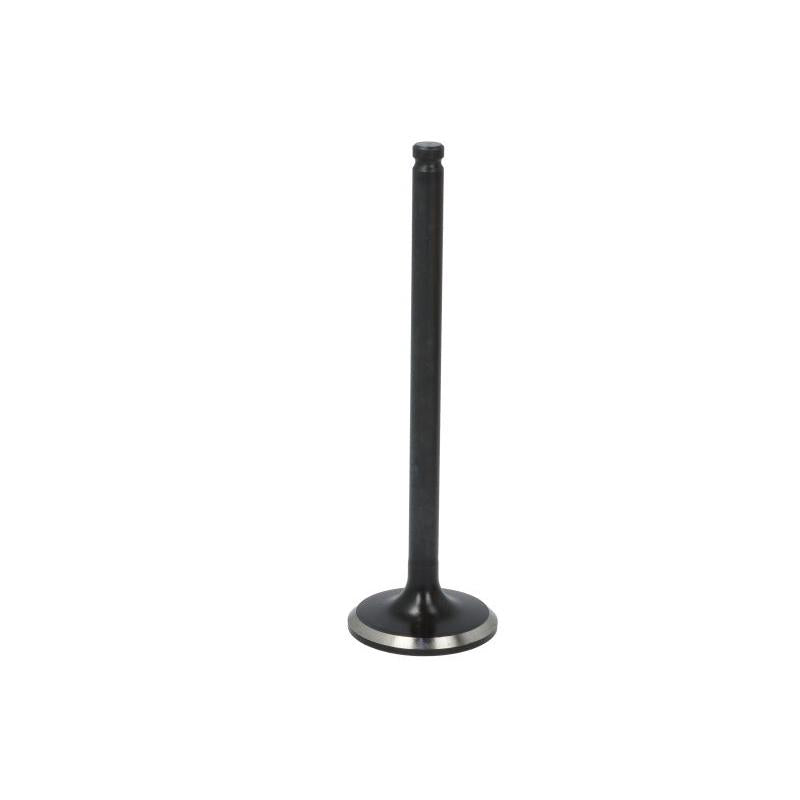 NE 147088000100 Intake Valve