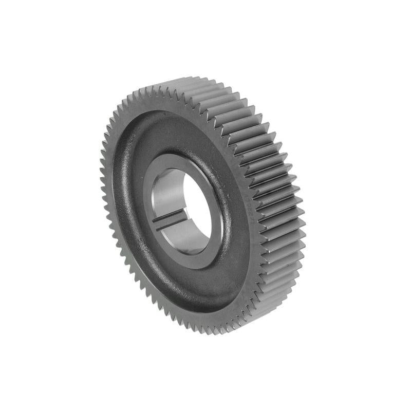EURORICAMBI 35531152 Intermediate Shaft Gear