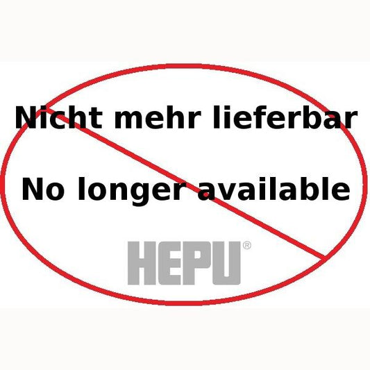 HEPU P422 Water Pump