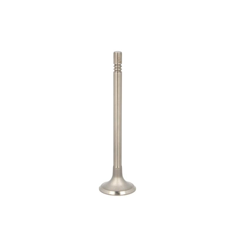PARADOWSCY PVWG133 Intake Valve