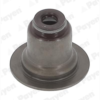 PAYEN PA6117 Valve Stem Gasket/Seal