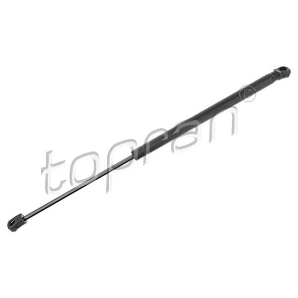 HANS PRIES HP820294 Boot/Cargo Area Gas Spring