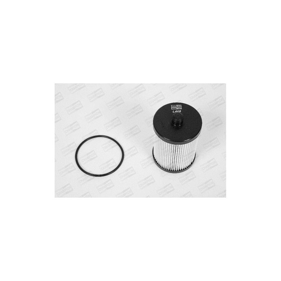 Champion L469/606 Fuel Filter