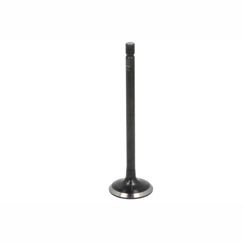 NE 147096001200 Intake Valve