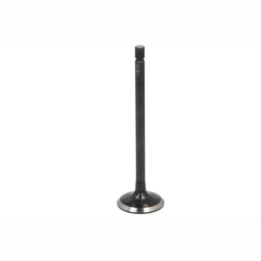NE 147096001200 Intake Valve