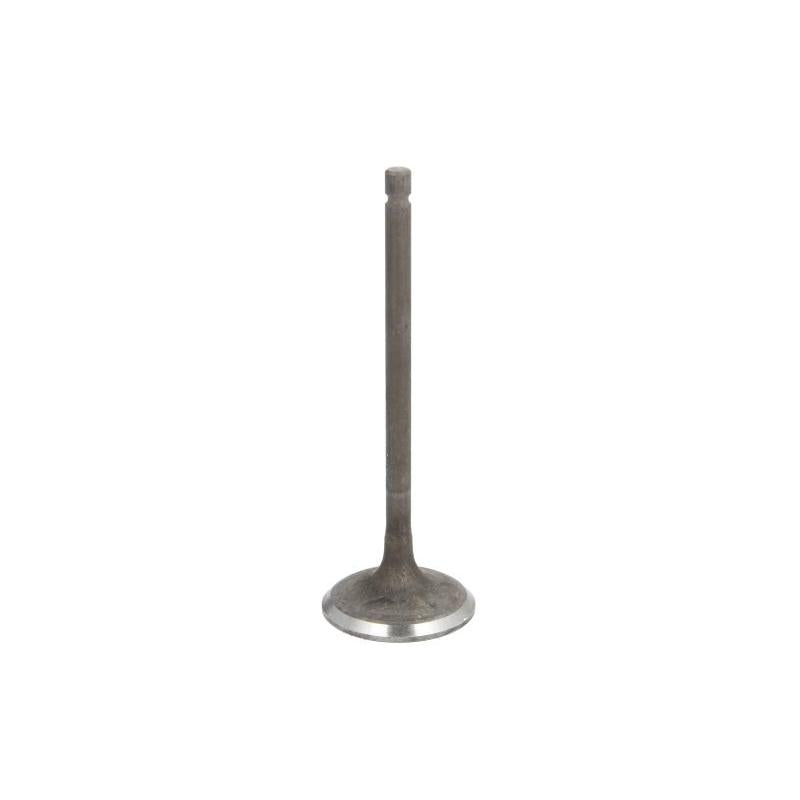 FRECCIA 7061/SARNT Intake Valve