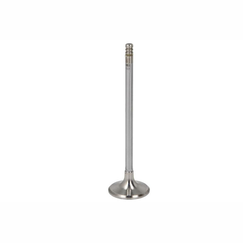 NE 148035000300 Exhaust Valve