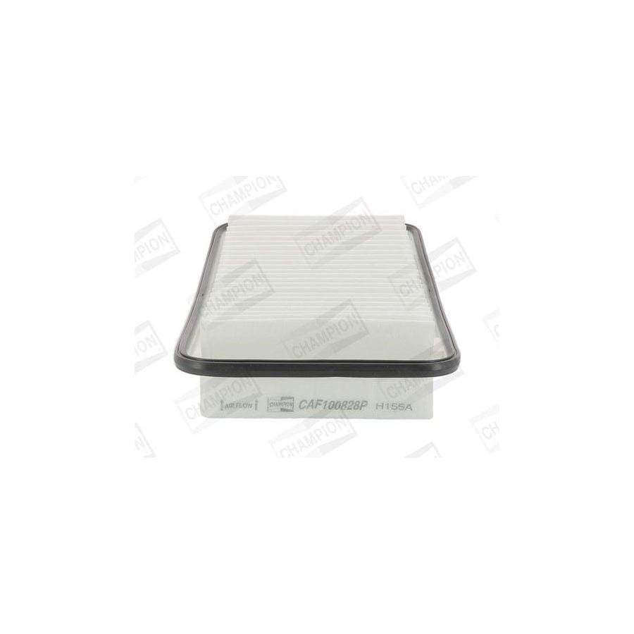 Champion Caf100828P Air Filter