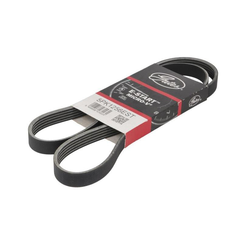 GATES GAT5PK1256EST V-Ribbed Belt