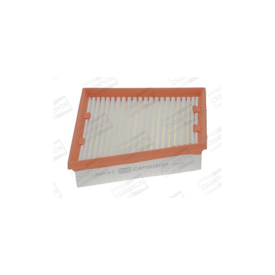 Champion Caf101012P Air Filter