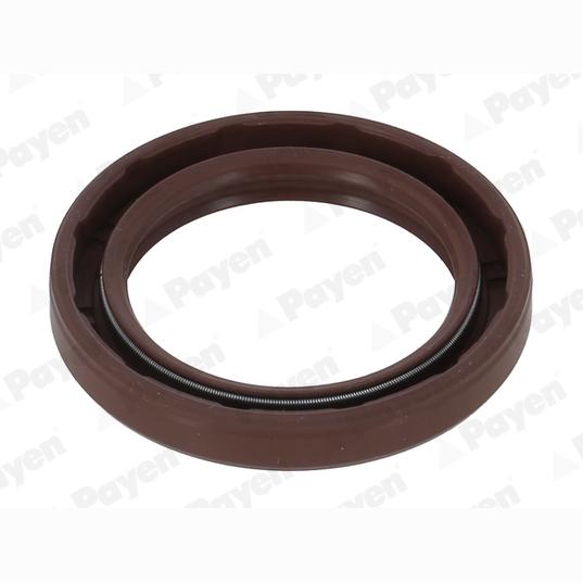 PAYEN NA5506 Crankshaft Shaft Seal