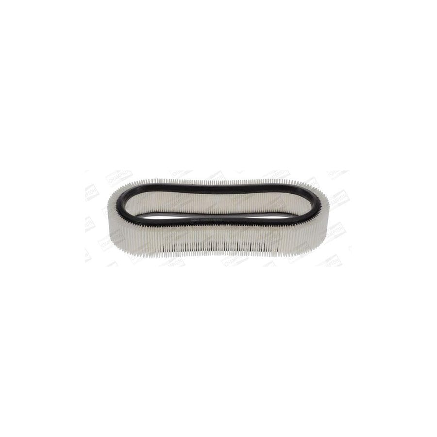 Champion Caf100190R Air Filter