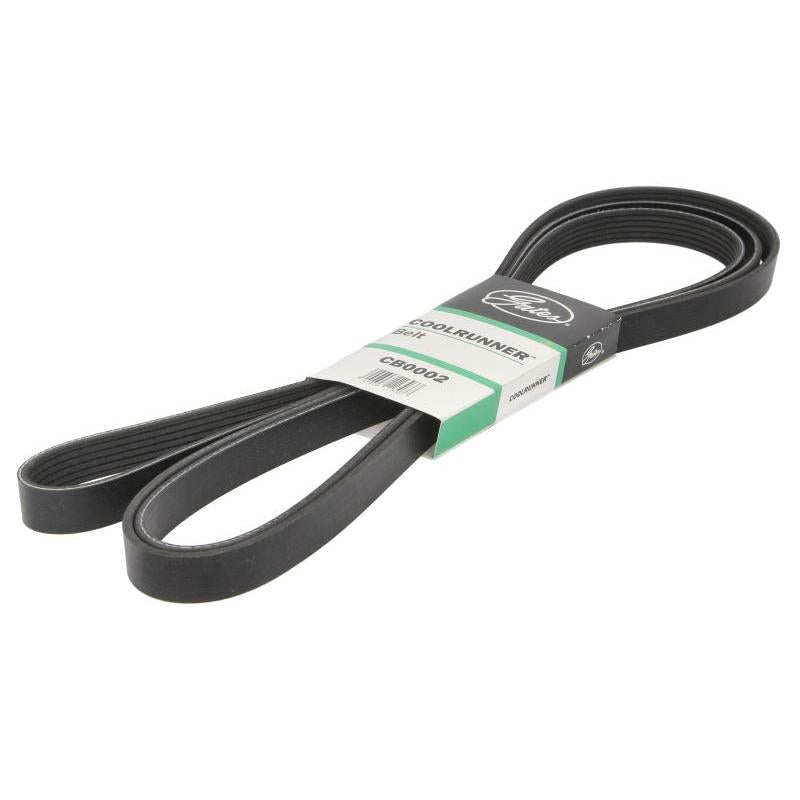 GATES GATCB0002 V-Ribbed Belt
