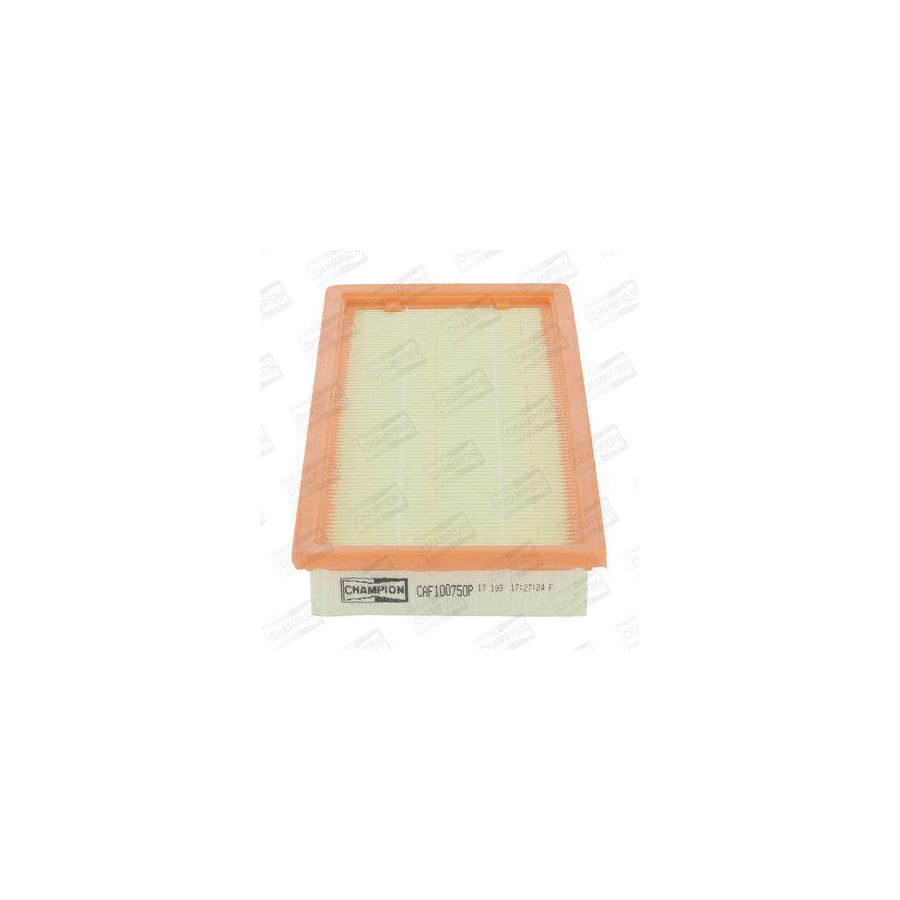 Champion Caf100750P Air Filter
