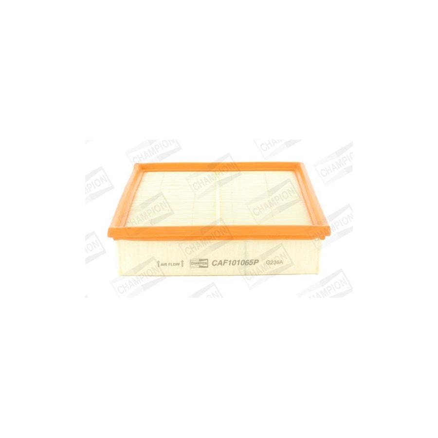 Champion Caf101065P Air Filter