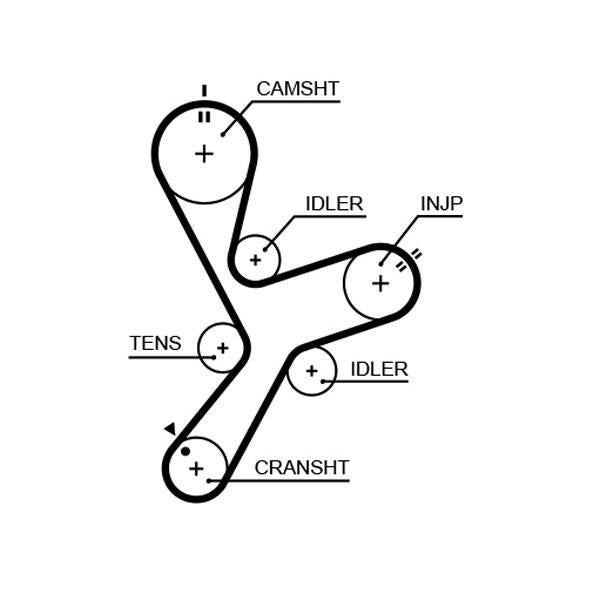 GATES GAT5641XS Timing Belt