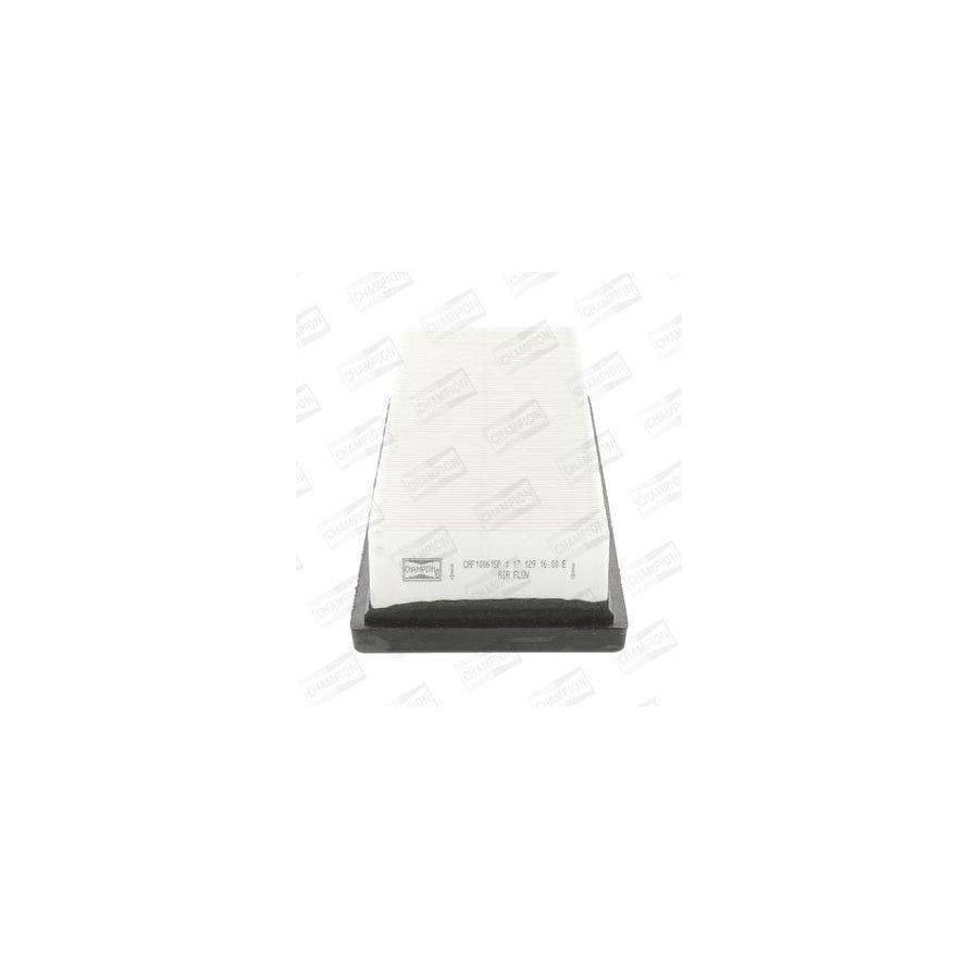 Champion Caf100615P Air Filter