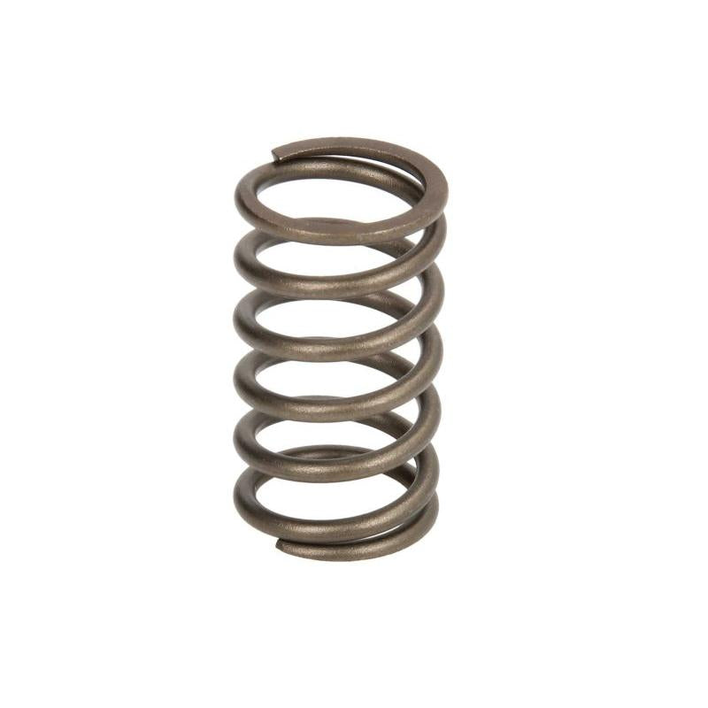 PARSUN F8-05030005 Valve Spring