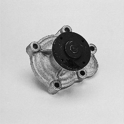 HEPU P310 Water Pump