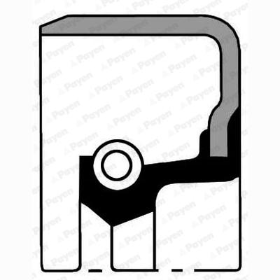 PAYEN NB979 Crankshaft Shaft Seal