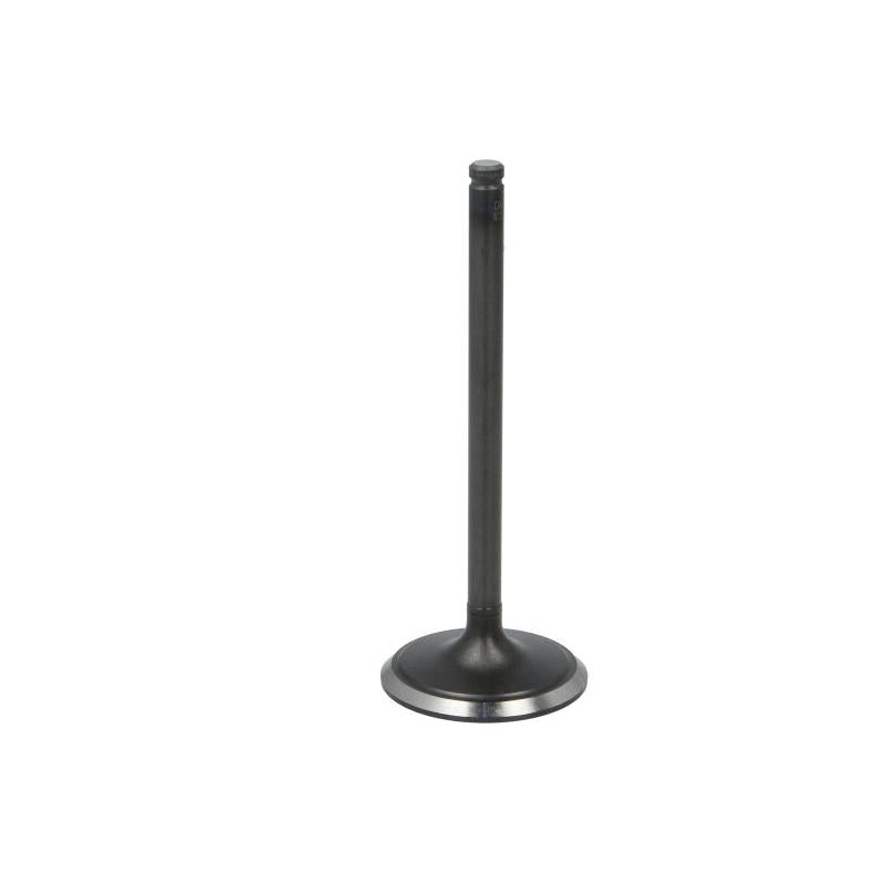 DNJ IV1130 Intake Valve