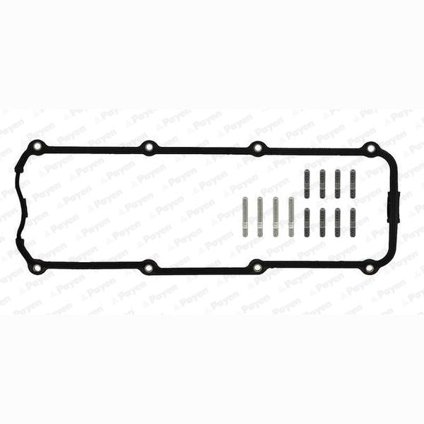 PAYEN HM5053 Cylinder Head Cover Gasket Set