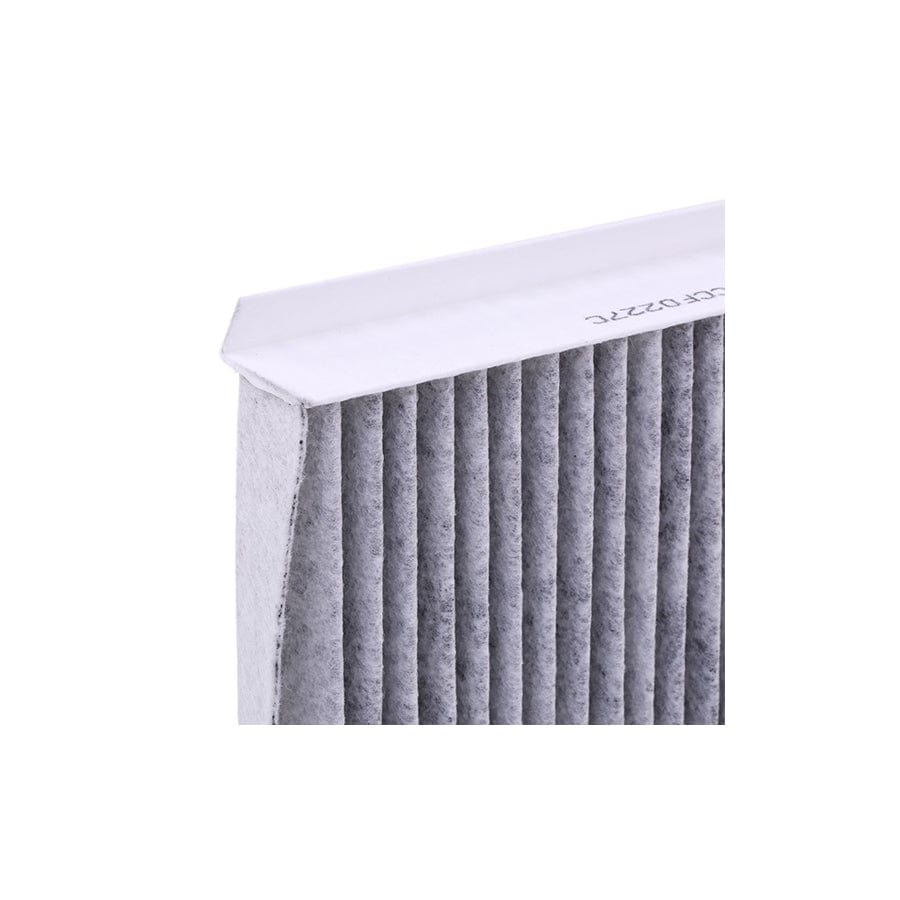 Champion Ccf0227C Pollen Filter