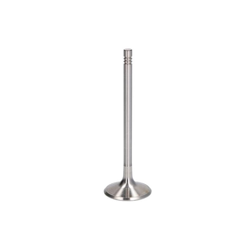 NE 147050002400 Intake Valve