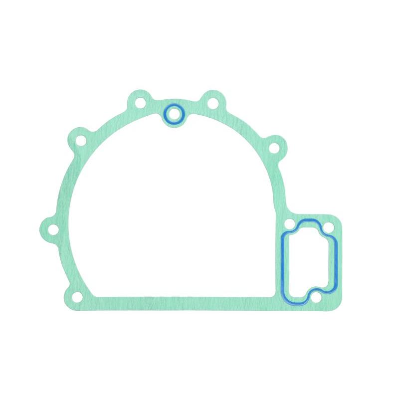 LEMA LE24500.54 Water Pump Gasket