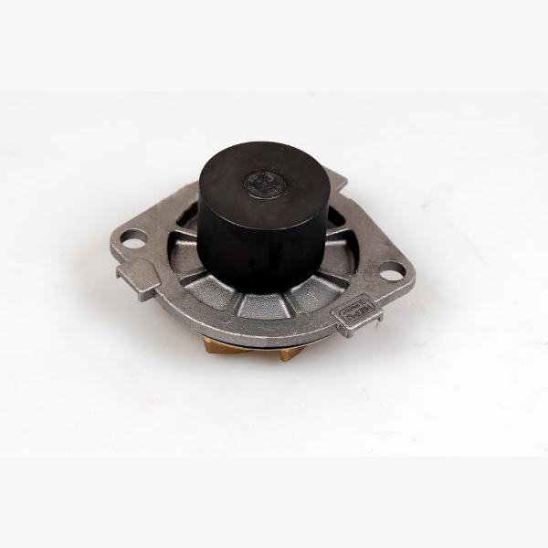 HEPU P1053 Water Pump