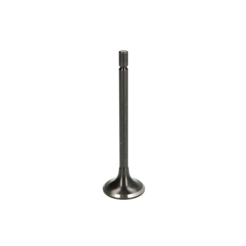 NE 147087000200 Intake Valve