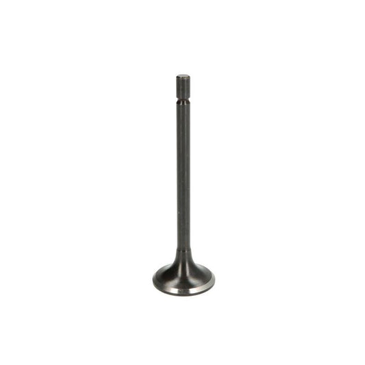 NE 147087000200 Intake Valve