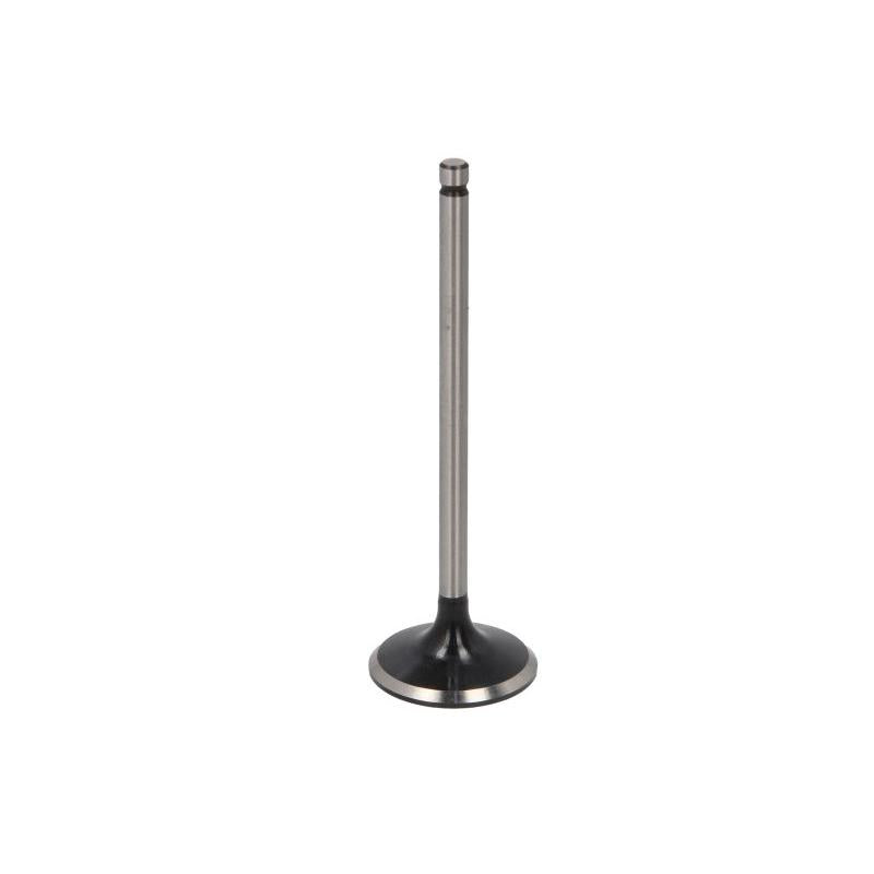 NE 147021000100 Intake Valve