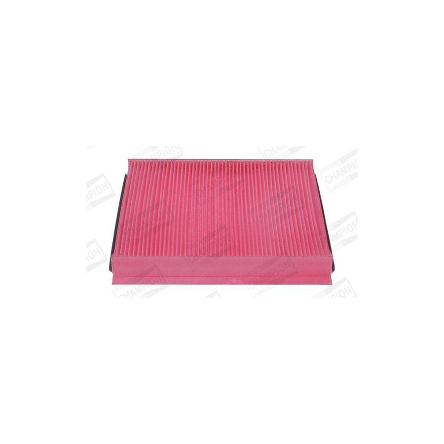 Champion Ccf0331B Pollen Filter