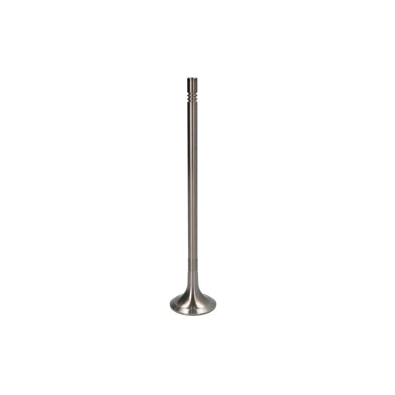 PARADOWSCY PVOL116 Exhaust Valve