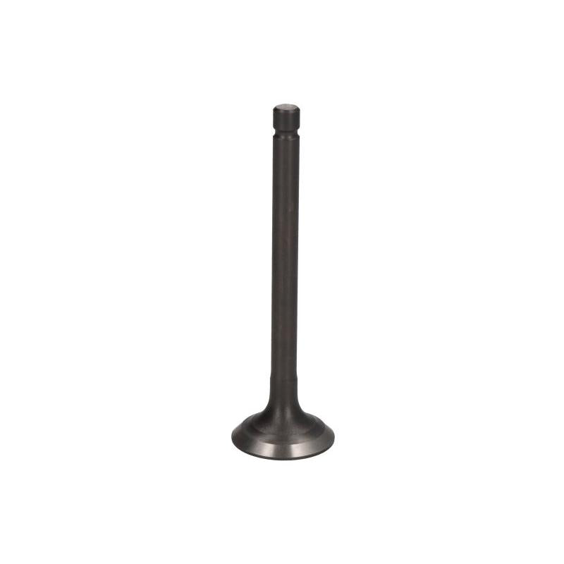 PARSUN F15-07040002 Exhaust Valve