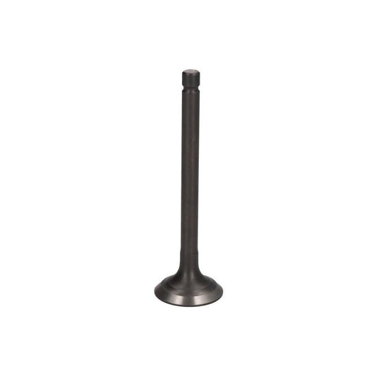PARSUN F15-07040002 Exhaust Valve