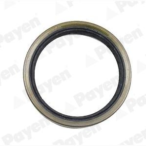 PAYEN NJ141 Wheel Hub Shaft Seal