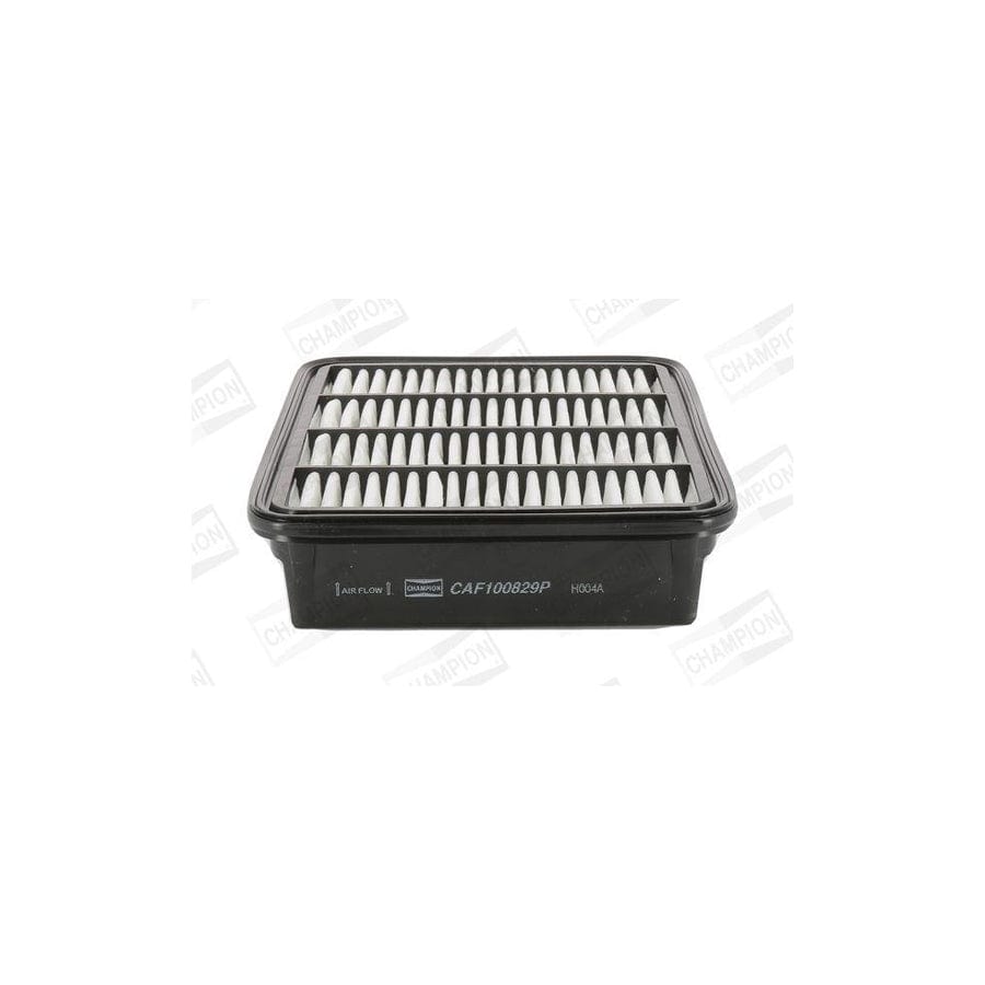 Champion Caf100829P Air Filter