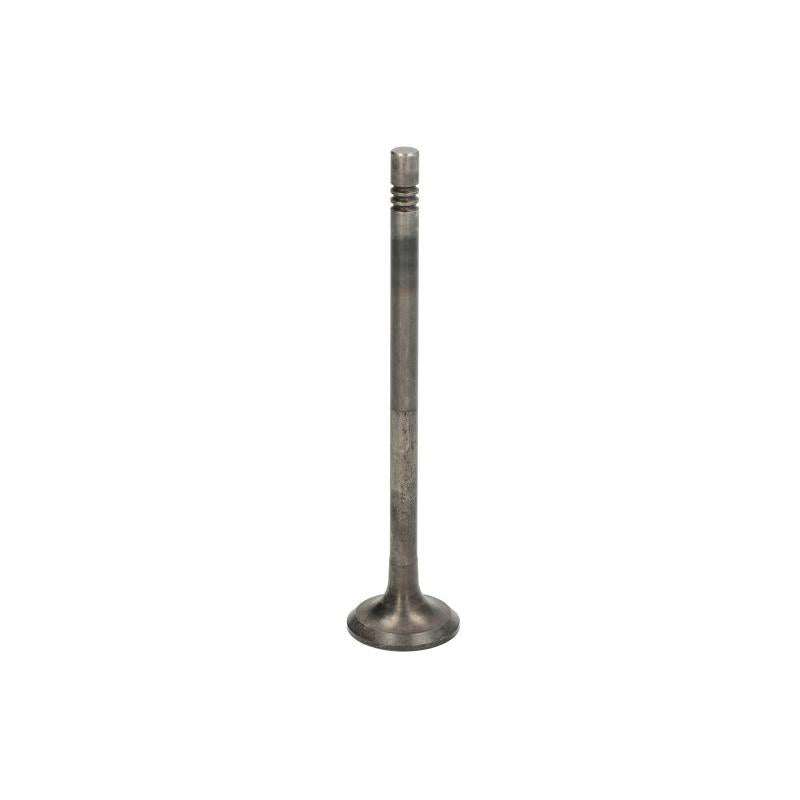 FRECCIA 6999/BMNT Exhaust Valve