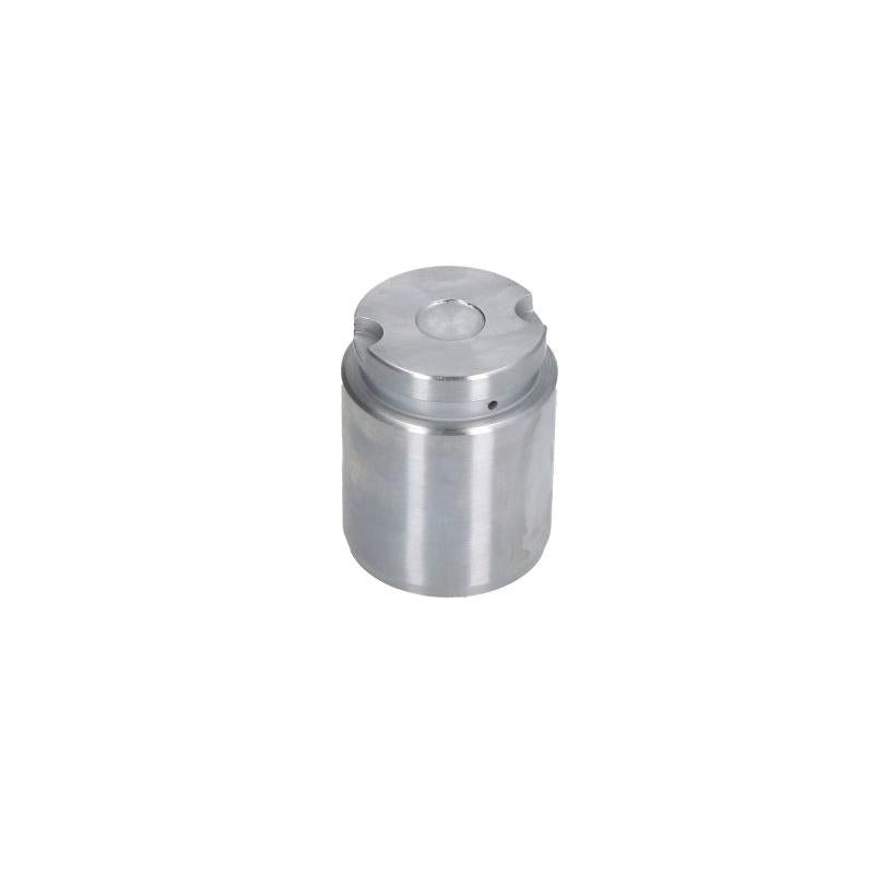 AUTOFREN SEINSA D0-25545 Brake Caliper Piston