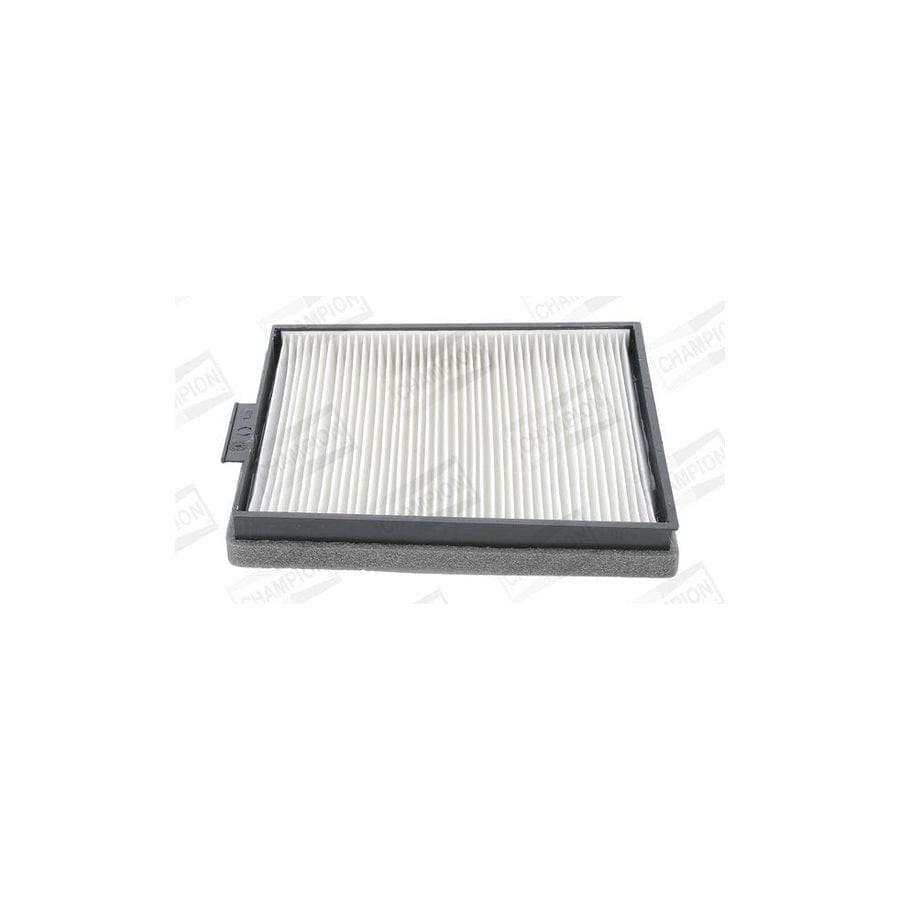 Champion Ccf0089 Pollen Filter
