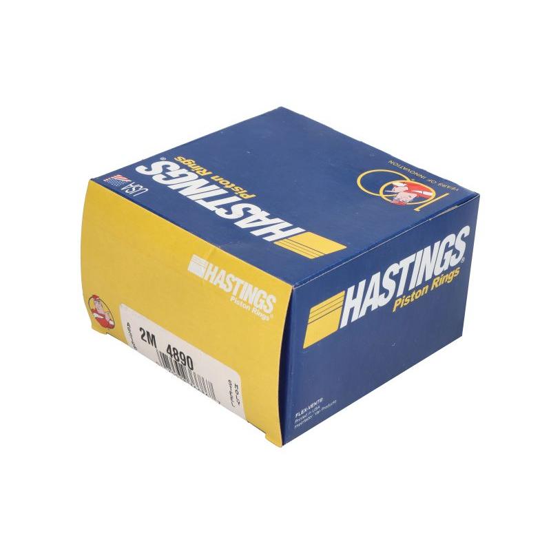 HASTINGS 2M4890 Piston Ring Kit